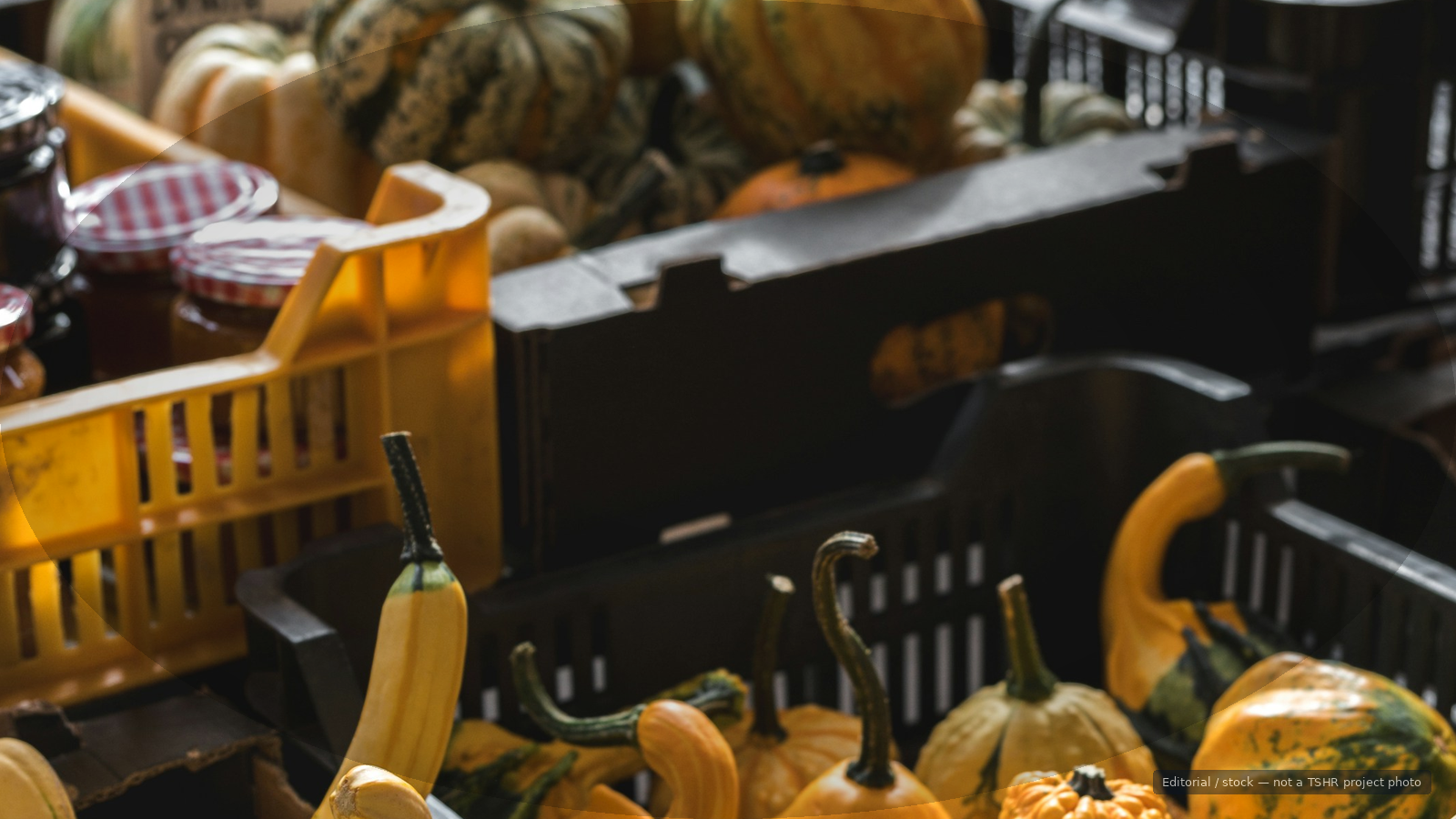 Fall pumpkins market